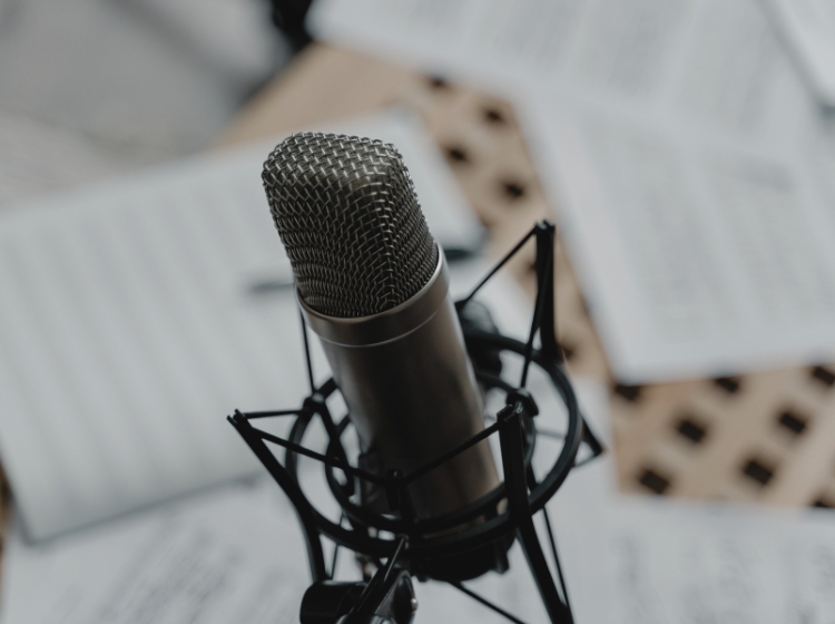 image section what you get